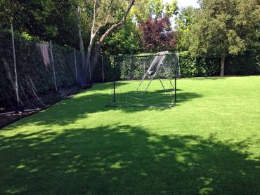 Artificial Grass Photos: Synthetic Pet Turf Carpinteria California Landscape, Lawns